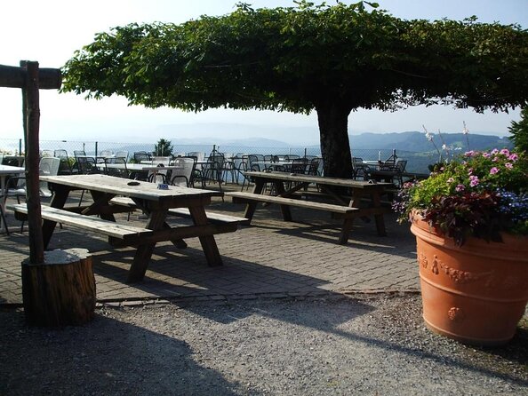 Culinary Tour from Zurich with Traditional Swiss Cheese Fondue Dinner - Key Things You Should Know Before You Go