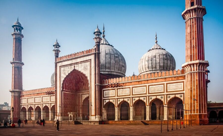 Delhi: Old Delhi City Tour with Tuk Tuk Ride & Street Food - Street food time: how to eat well in the market flow