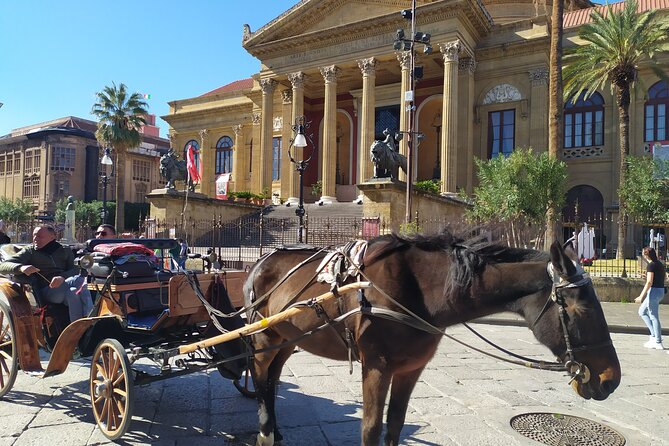 Discover Palermo in 3 hours. Art, history, markets and street food - Italian-Only Guide: The Best Part and the Only Real Catch