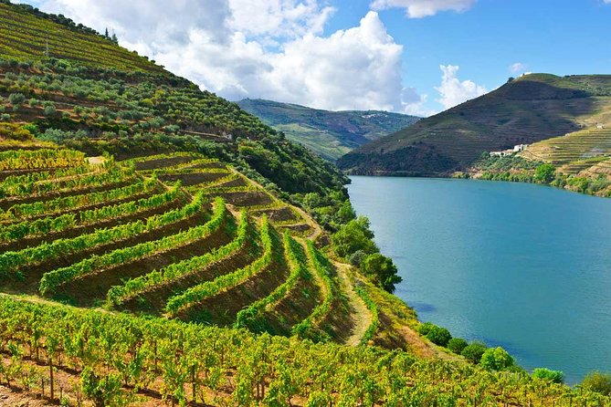 Douro Valley Private Wine and Food Tour From Porto - Key Points You’ll Care About