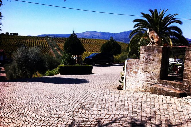 Douro Valley Private Wine and Food Tour From Porto - Casal de Loivos Viewpoint: Where the Day Breathes