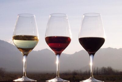 Douro Valley Private Wine and Food Tour From Porto - Quinta do Seixo (Sandeman): A First Taste of Port Country