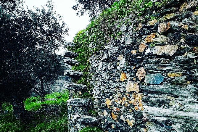 Douro Valley Private Wine and Food Tour From Porto - Pinhão Lunch Time: Plan for Extra Spend (and Make It Count)