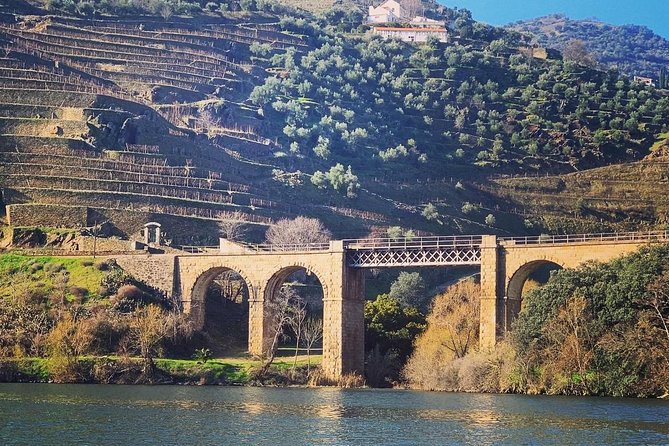 Douro Valley Private Wine and Food Tour From Porto - D’Origem: Second Winery Stop, Different Mood