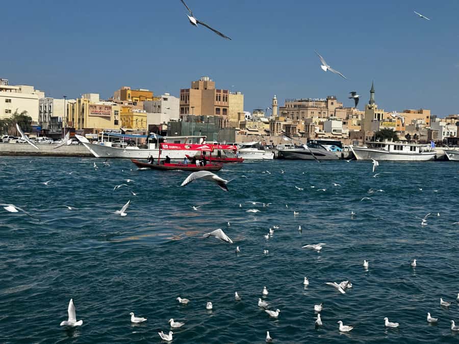 Dubai: Old Town Walking Tour with Abra Cruise & Street Food - Al Fahidi District: Arabian Architecture and the First Real Taste of Old Dubai