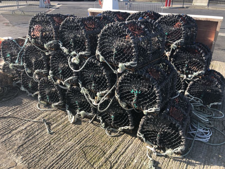 Dublin: Howth Coastal Craft Beer and Seafood Tour - Price and Value: Is $112 Worth It?
