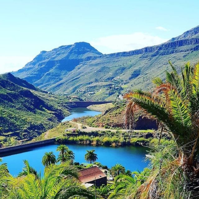 E-Bike Mountain Tour in Natural Park +Option Tapas in a Cave - Guide matters: the Lorenzo effect and the mango stop
