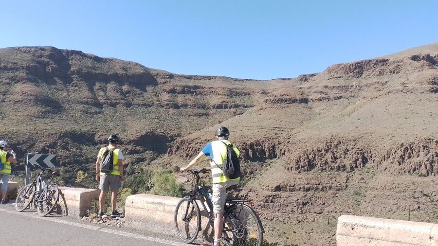 E-Bike Mountain Tour in Natural Park +Option Tapas in a Cave - Ayagaures Valley: palms, cacti, and native Canarian flora