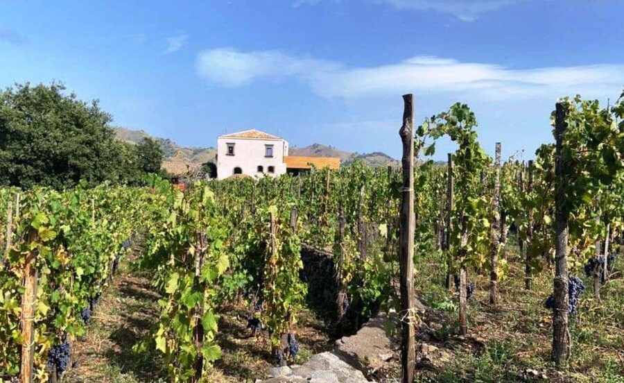 Etna: Wine Tasting and Food Tour - Key highlights worth marking on your map