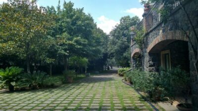 Etna: Wine Tasting and Food Tour - Zafferana Etnea Honey, Olive Oil, and Lava-Front Views
