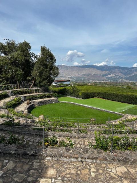 Etna: Wine Tasting and Food Tour - What You’ll Taste: The Real Menu of This Tour
