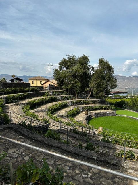 Etna: Wine Tasting and Food Tour - Timing, Van Rides, and Group Comfort (So Your Day Feels Good)