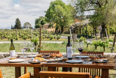 Familia Torres Winery: Gastronomic Tapas & Wine Experience - From Barcelona’s Estació del Nord to Penedès: timing and logistics that matter