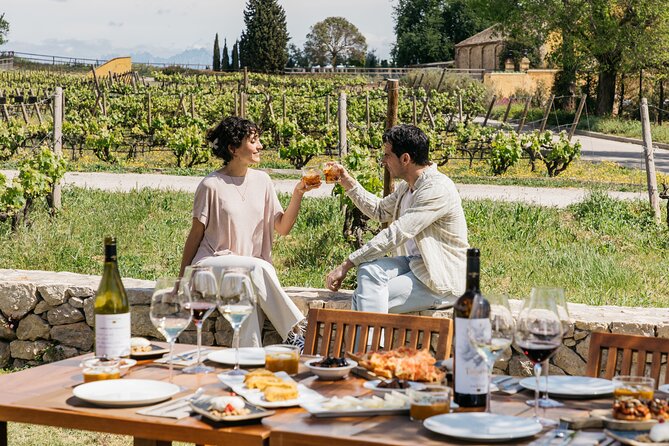 Familia Torres Winery: Gastronomic Tapas & Wine Experience - The brunch meal: Catalan tapas that actually feel like a meal