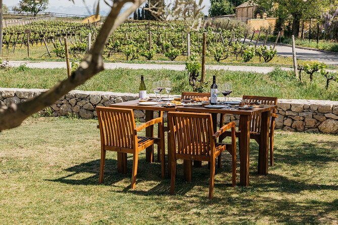Familia Torres Winery: Gastronomic Tapas & Wine Experience - Getting value from €51… sorry, $151.23: what you’re paying for