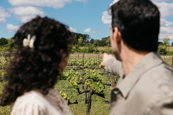 Familia Torres Winery: Gastronomic Tapas & Wine Experience - Wine-shop time: what to do with that extra hour of freedom