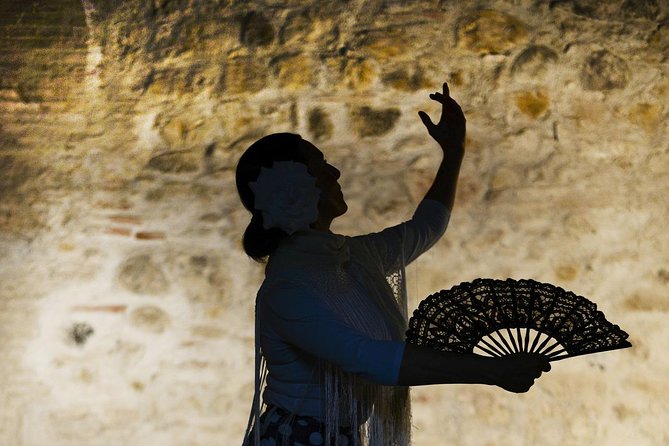 Flamenco, Tapas and Wine Tour: Best of Málaga in one Evening - Why this Malaga evening feels worth it