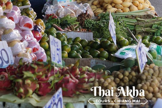 Fresh Local Market Tour - Food tour in Chiang Mai - What to bring (and what to skip) for an easy experience