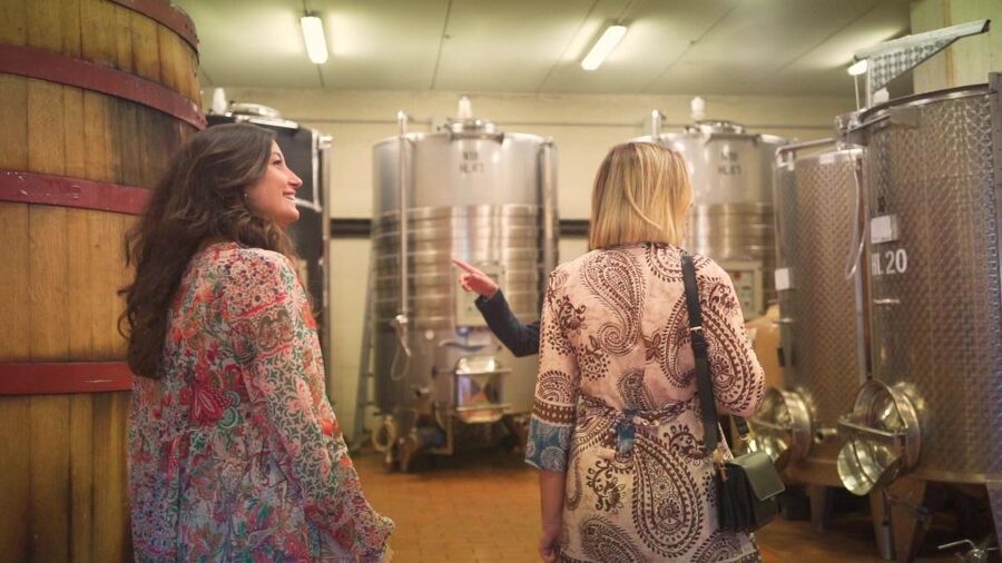 From Florence: Chianti Tour with Two Wine and Food Tastings - Should you book? My take