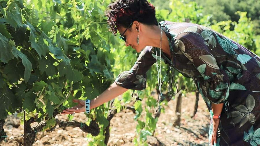 From Florence: Chianti Tour with Two Wine and Food Tastings - Second Winery Stop: Four Wines, Vineyard Views, and Olive Oil and Truffle Moments