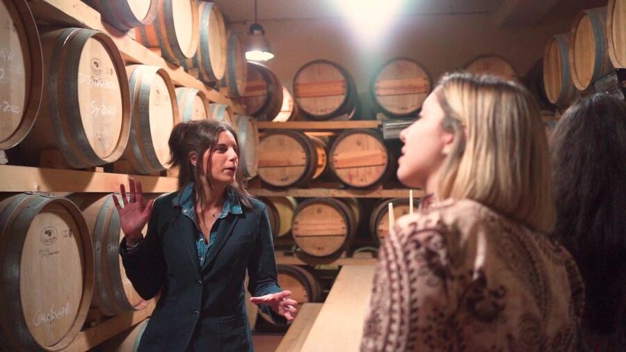 From Florence: Chianti Tour with Two Wine and Food Tastings - What You’re Really Paying For: Value at About $58 for 5 Hours