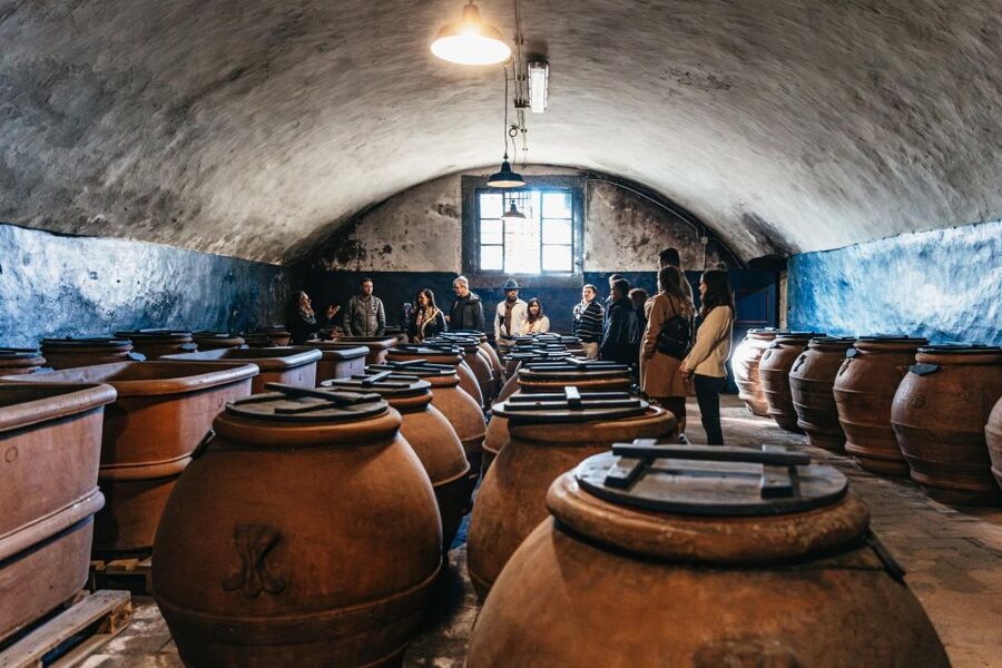 From Florence: Chianti Wine and Food Tasting Safari - Key highlights worth your attention