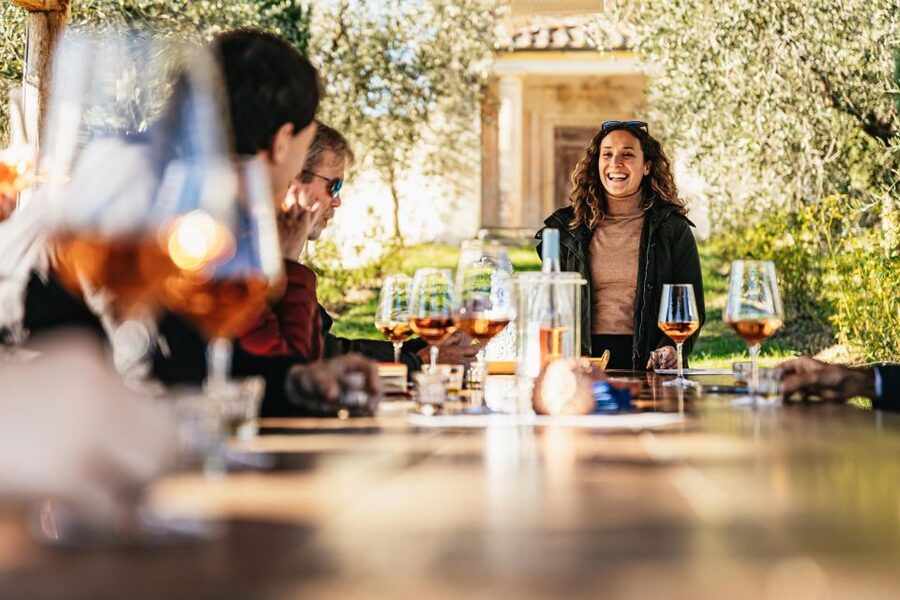 From Florence: Chianti Wine and Food Tasting Safari - The first winery stop: aristocratic cellars, cheese, and olive oil tasting
