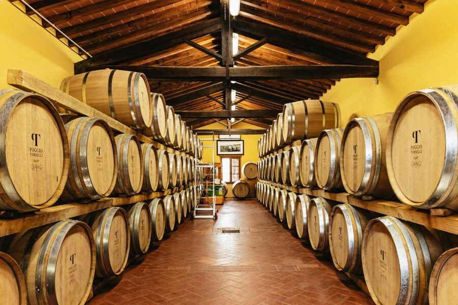 From Florence: Chianti Wine and Food Tasting Safari - Traditional Tuscan lunch with vineyard views