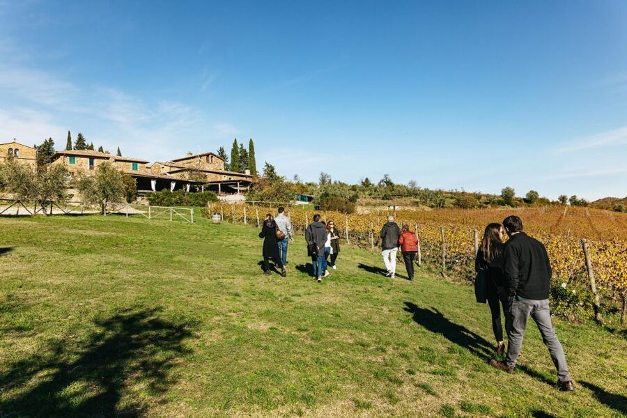 From Florence: Chianti Wine and Food Tasting Safari - What you actually taste: 8 wines plus olive oil, cheese, and cured meats