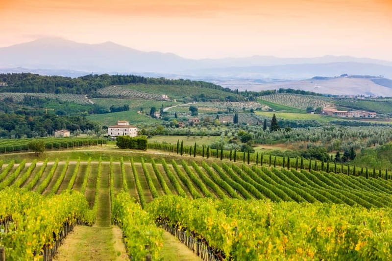 From Florence: Tuscany Wine & Food Tour with Guide - Wine Focus: What You’ll Taste (and How to Read the Sangiovese Story)