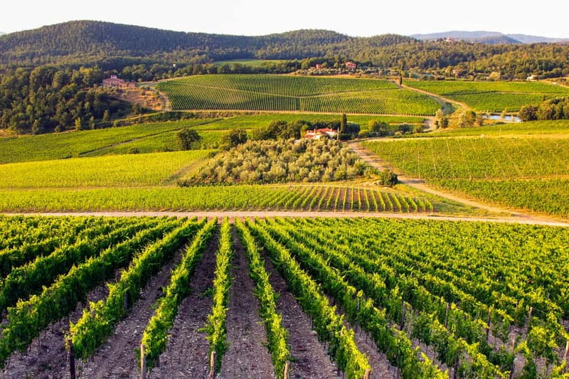 From Florence: Tuscany Wine & Food Tour with Guide - Who This Tour Suits Best (and Who Might Want Another Option)