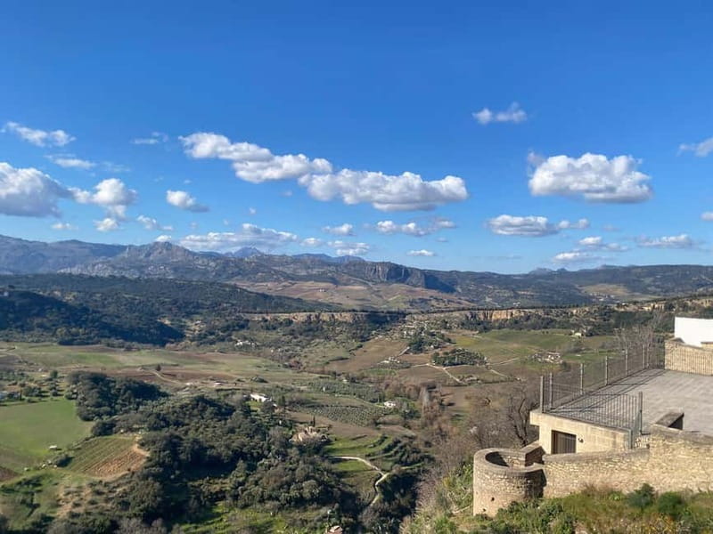From Marbella: Ronda, private transport, cafe, bullring, tapas, drinks - Tapas in a traditional restaurant: the meal is part of the itinerary