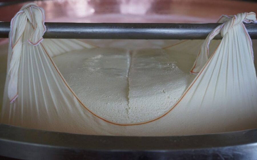 From Parma: Parmigiano and Parma Ham Guided Food Tour - Key Things You’ll Really Notice