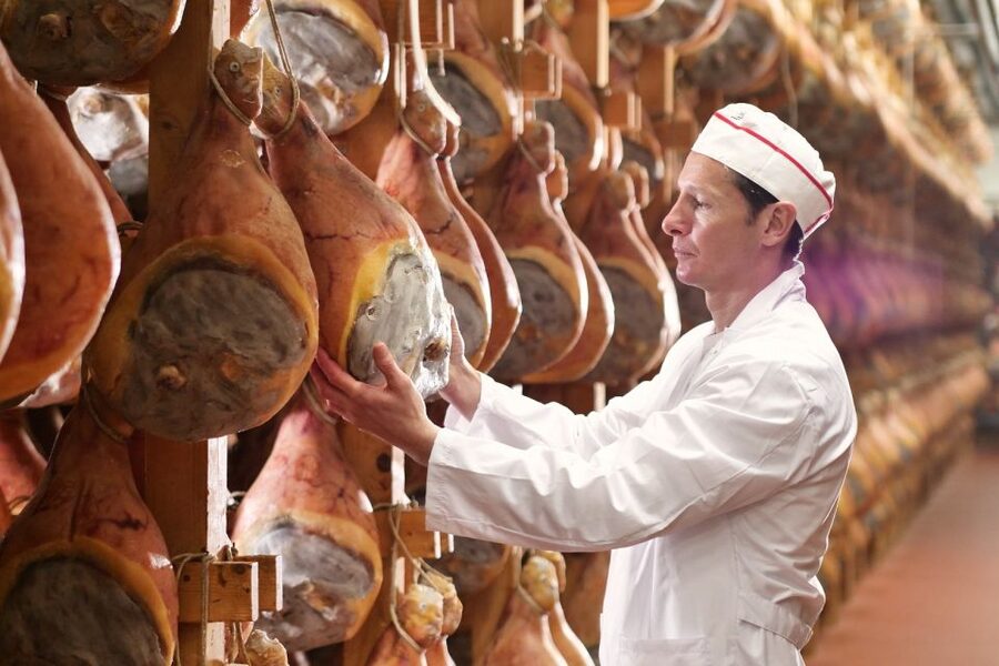 From Parma: Parmigiano and Parma Ham Guided Food Tour - NH Hotel Pickup, Then Straight Into Factory Reality