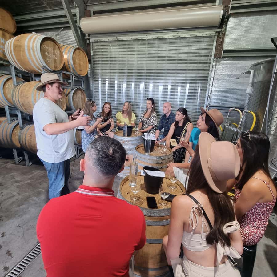 From Sydney: Hunter Valley Wine, Gin & Food Tastings Tour - Key highlights to know before you go