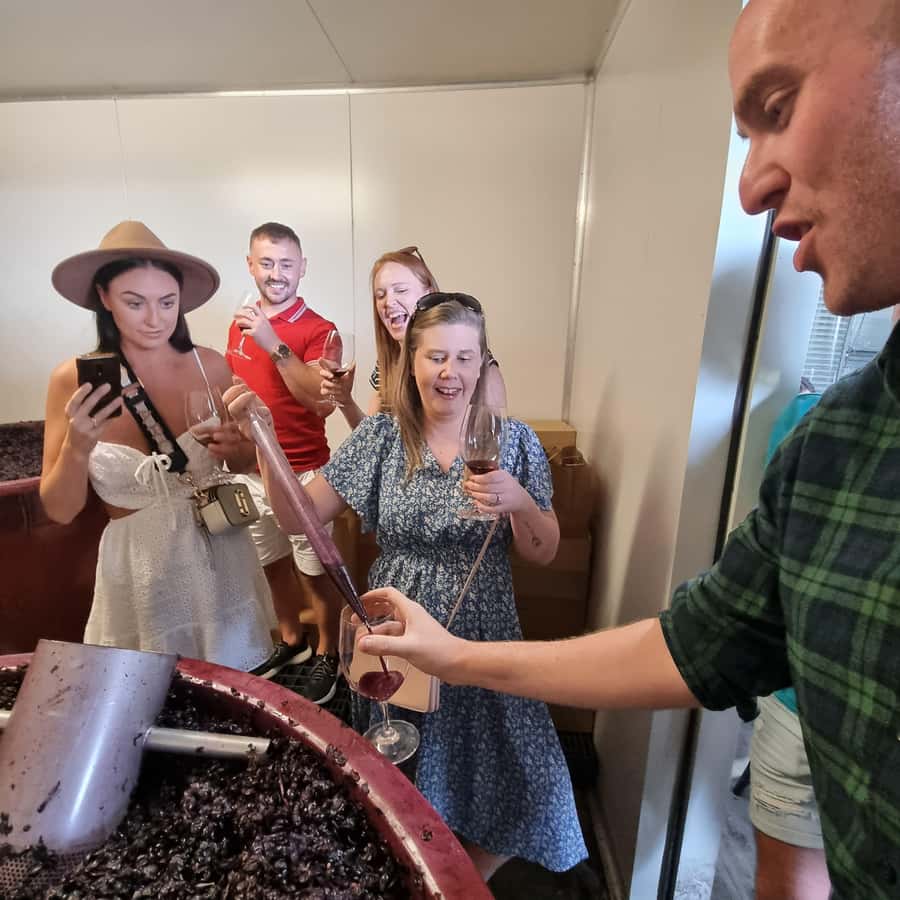 From Sydney: Hunter Valley Wine, Gin & Food Tastings Tour - The guides make the day: Drew and Chris as examples of the right style