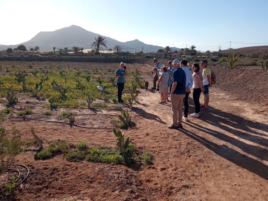 Fuerteventura: Tapas and Local Life Guided Tour - A Five-Hour Taste Tour That Feels Personal