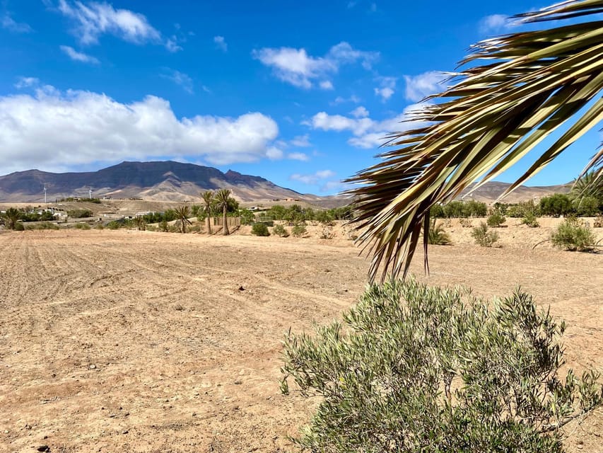 Fuerteventura: Tapas and Local Life Guided Tour - FAQ
