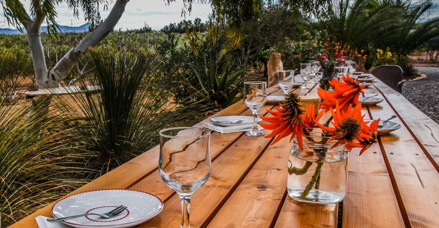 Fuerteventura: Tapas and Local Life Guided Tour - Who Should Book This Tour (and Who Might Not)