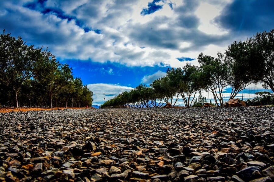 Fuerteventura: Tapas and Local Life Guided Tour - Quick Tips to Make Your Day Smoother