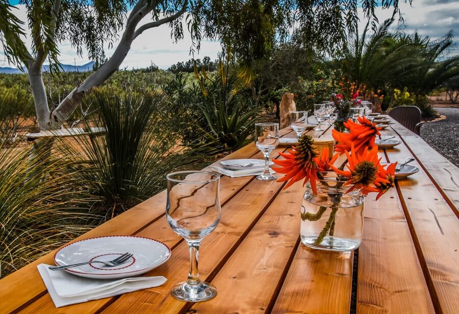 Fuerteventura: Tapas and Local Life Guided Tour - Olive Tree Farm Time: Extra Virgin Oil and Why Timing Matters