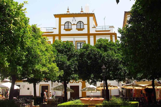 Full Day Seville Tour with tickets (optional Tapas & Flamenco) - Real Alcázar: Moorish palace energy and film-scene details