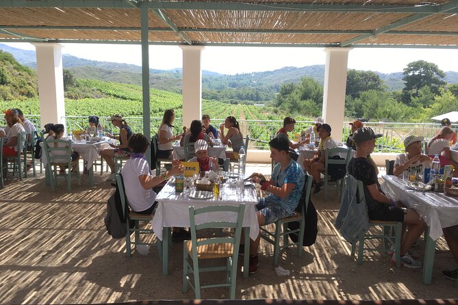 Gourmet Journey: 12-Course Lunch, Wine Tasting & Culinary Session - Wine Tasting With Winemaking Logic (Not Just Sip and Smile)