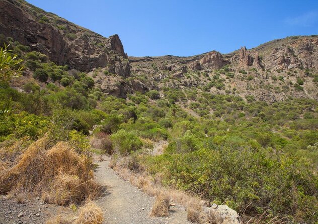Gran Canaria 7 Highlights Small Group Tour with Tapas Picnic - Why this small-group Gran Canaria day feels like a visit, not a bus route