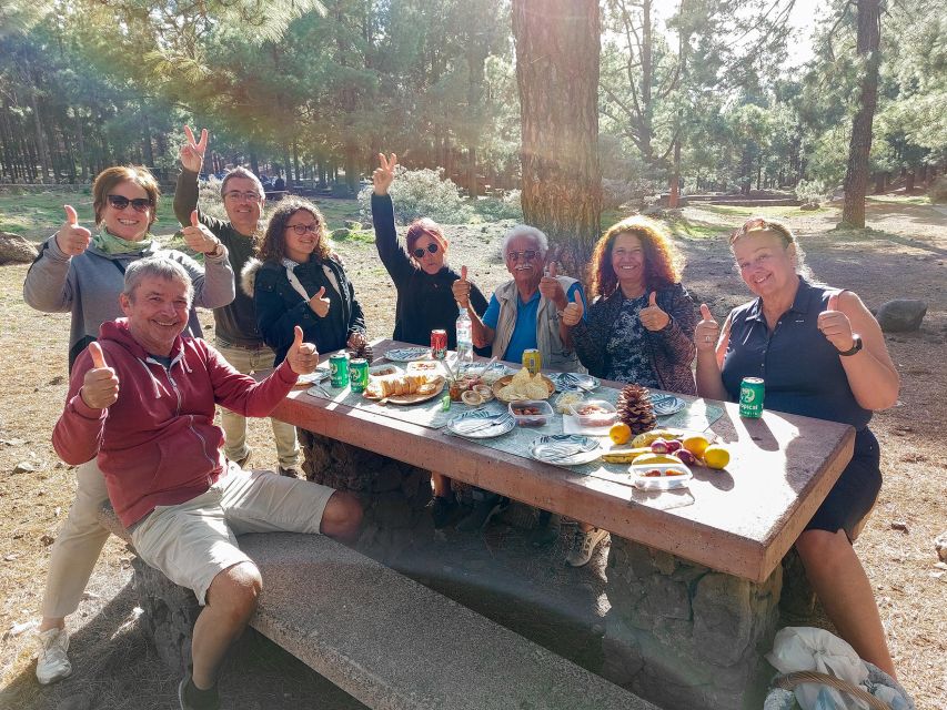 Gran Canaria 7 Highlights Small Group Tour with Tapas Picnic - Price and value: what you’re really paying for at $115 per person
