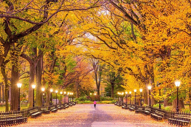 Half-Day Hell's Kitchen Food Tour and Central Park Stroll - Hell’s Kitchen + Central Park: A half-day that feels like two NYC personalities