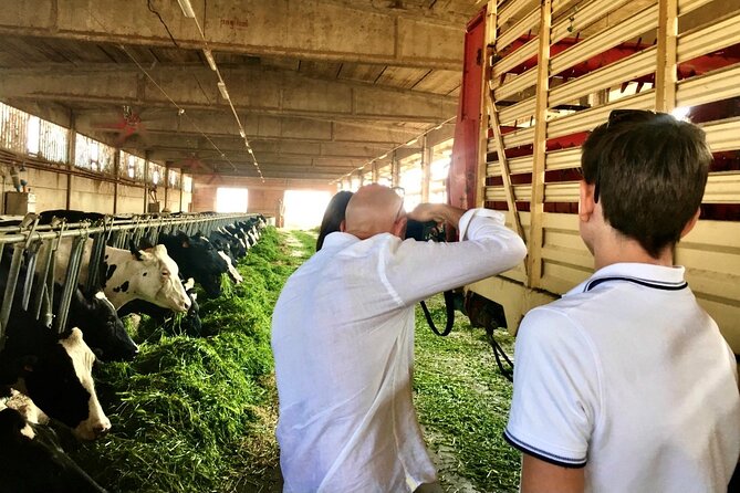 Half Day Private Parmigiano Reggiano and Parma Ham Experience - What the Best Guides Do on This Tour