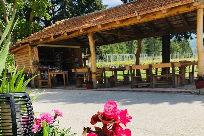 Half-Day Wine and Food Tasting from Dubrovnik - Homemade pairings: prosciutto, cheese, olives, bread, and more