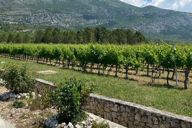 Half-Day Wine and Food Tasting from Dubrovnik - Price and logistics: what you’re paying for at $120.94