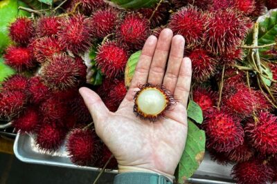 Hawaii Off The Beaten Path Food Tour - Price: what $150 buys you, and why it is usually worth it